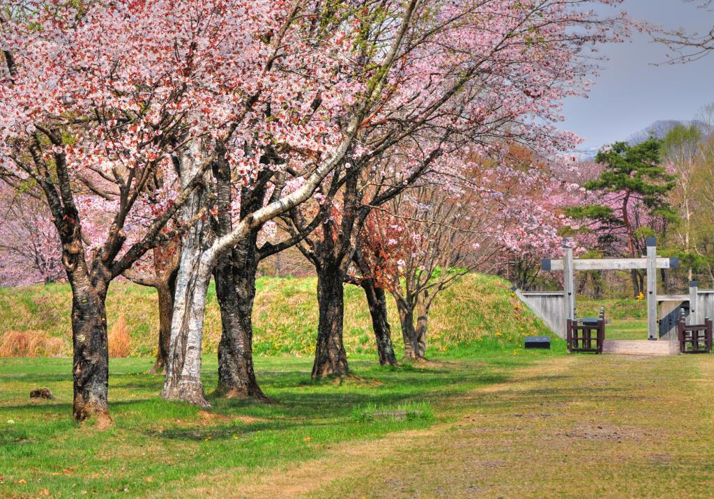 Hotel Izumi Shiraoi Zewnętrze zdjęcie