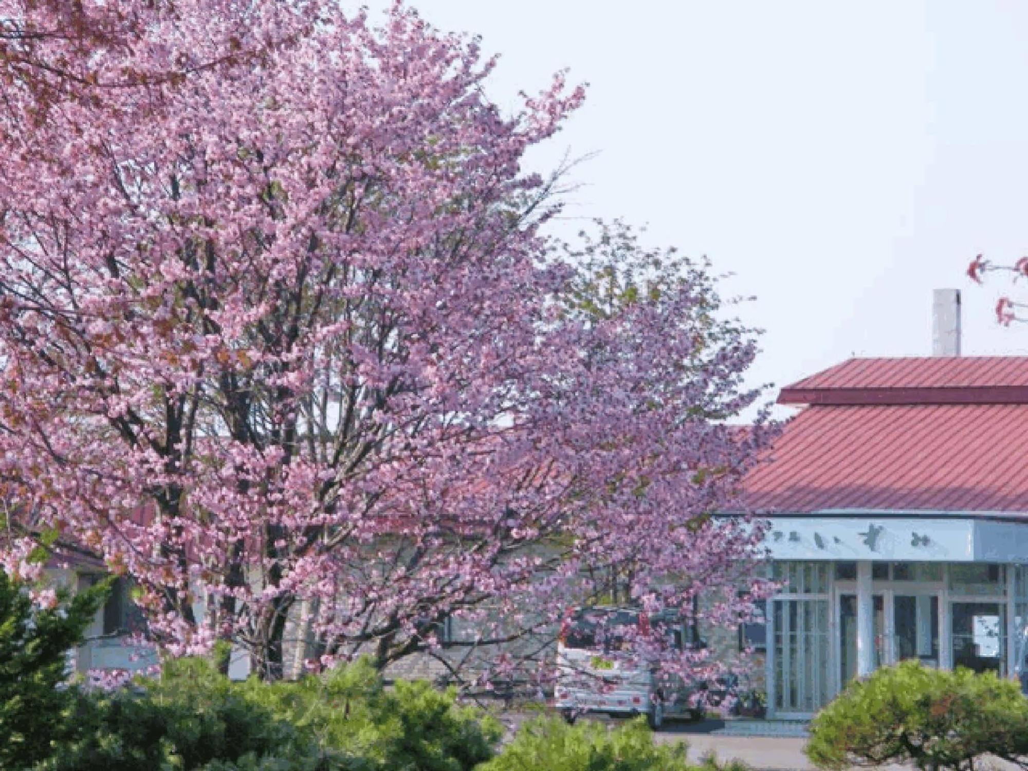 Hotel Izumi Shiraoi Zewnętrze zdjęcie